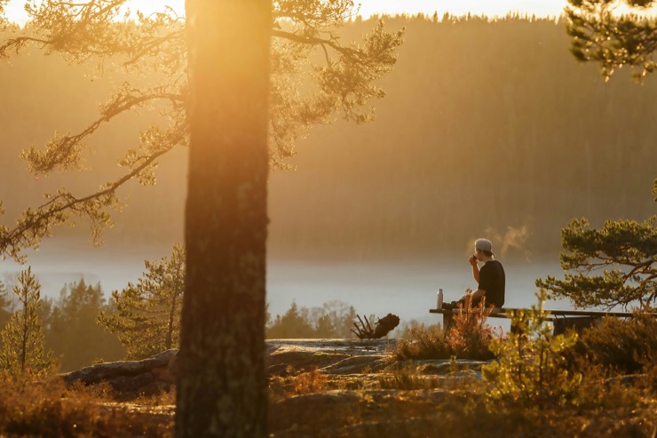 Man alone in the forest in the morning